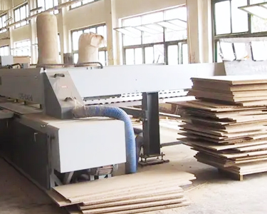 Wood processing spray dust removal